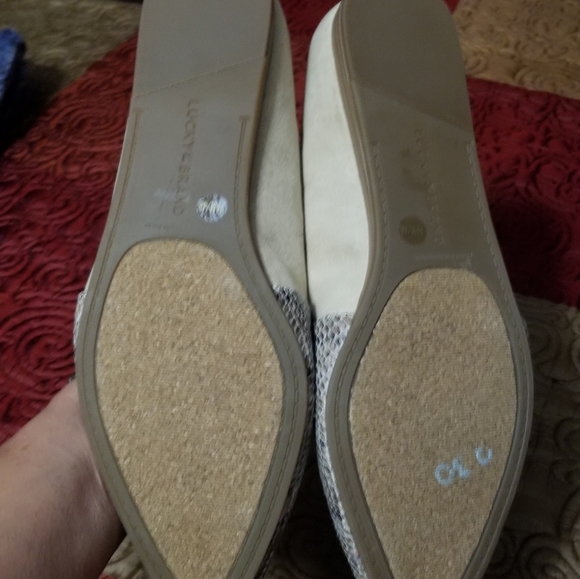 Lucky brand Woman's shoes Size 10 brand new - Picture 1 of 4
